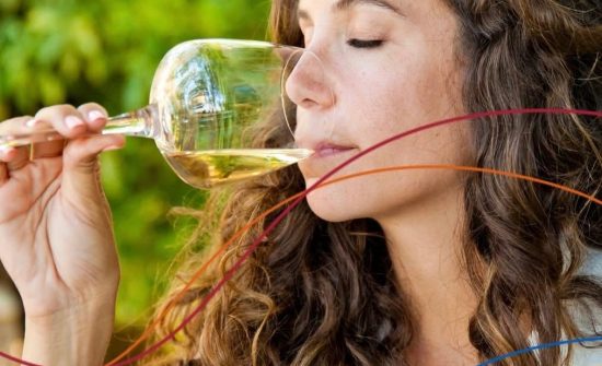 Magaddino Degustazione Vini Magaddino Degustazione Vini